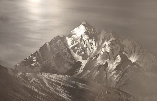 20260427_155315.jpg